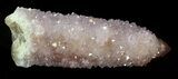 Cactus Quartz (Amethyst) Crystal - South Africa #34962-1